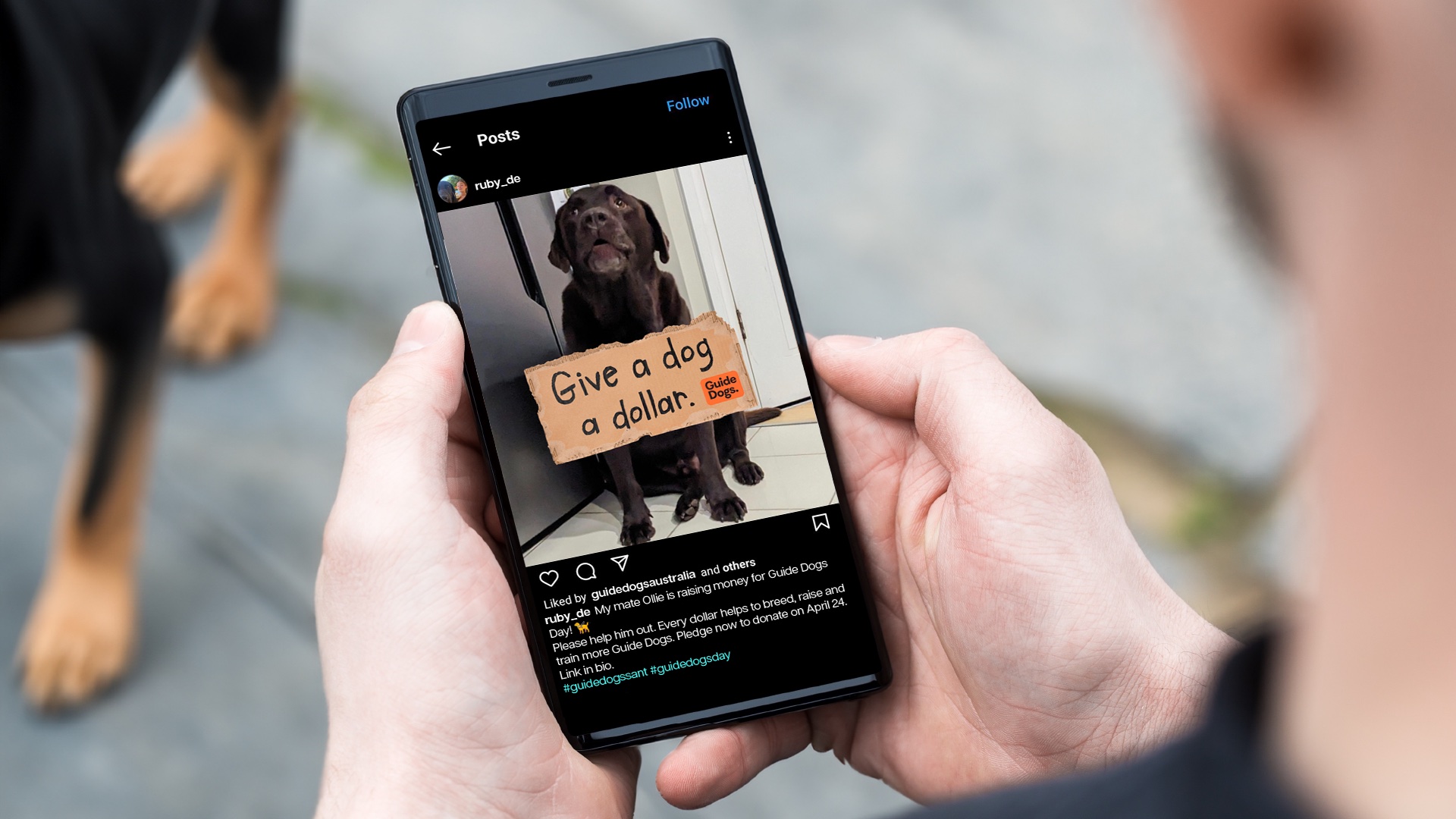 guidedogs-dogs-unite-social-1920x1080